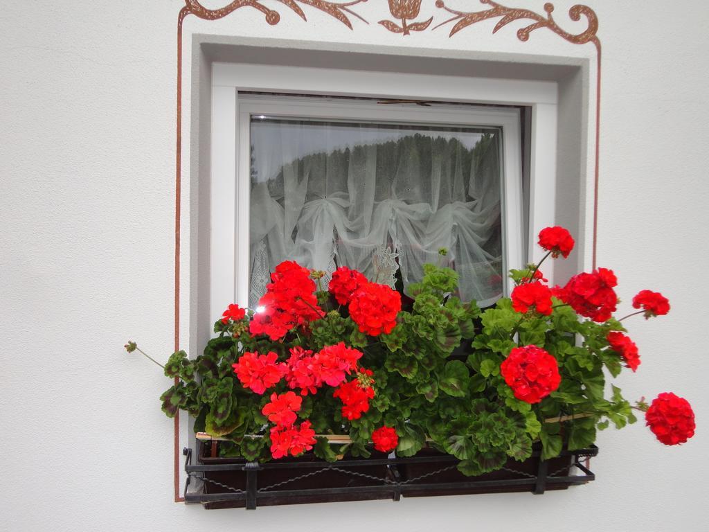 Bed and Breakfast Garni Crepaz Сельва-ди-Валь-Гардена Экстерьер фото
